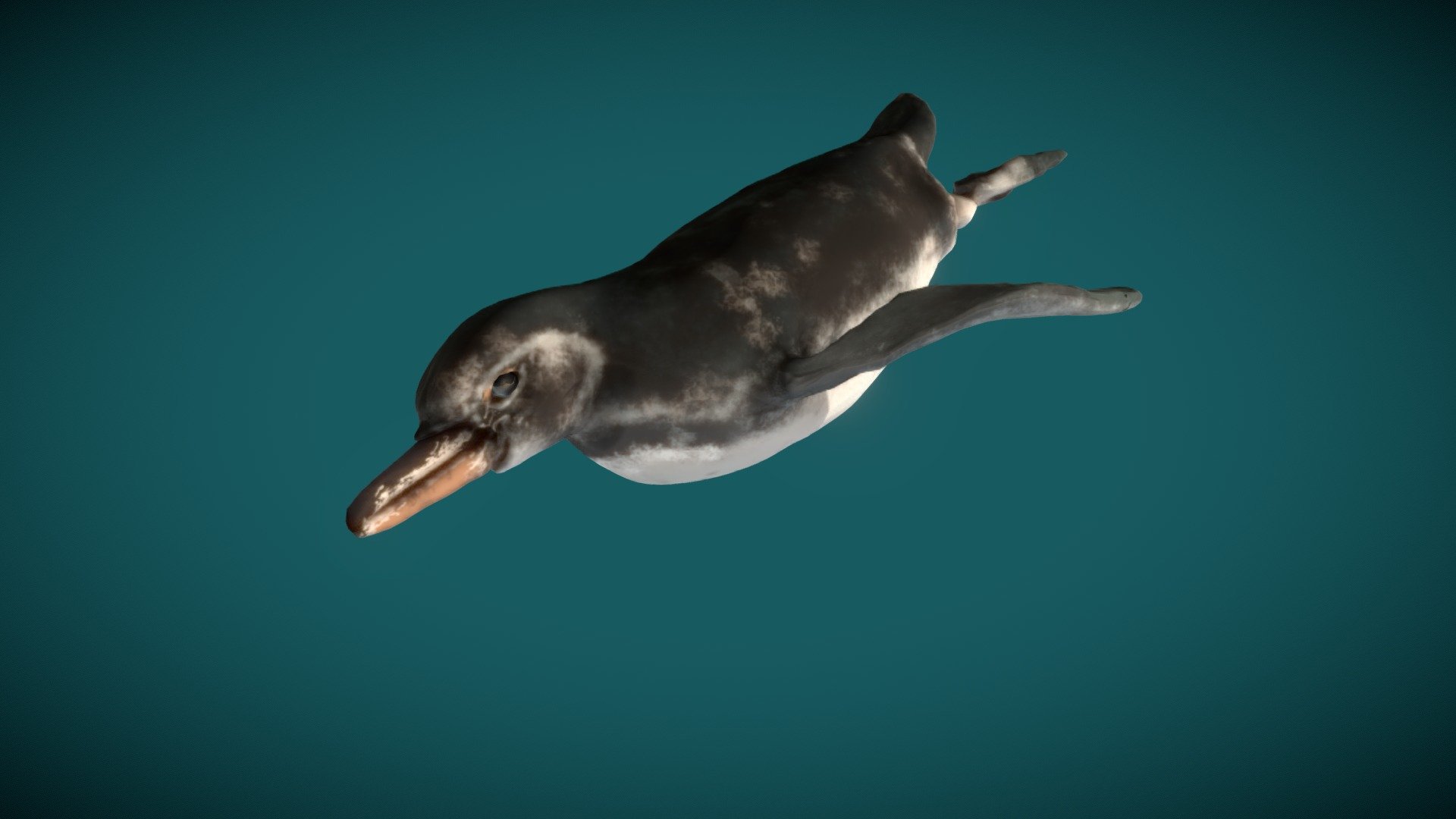 Pinguino (Pinguin) Rigged, LowPoly - 3D model by daviscazar [145c8cd ...