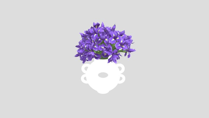 Modern Ceramic Vase With Purple Irises