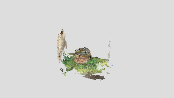 Untitled Scan 3D Model