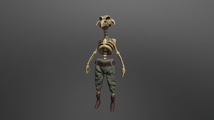 Dead Skeleton Rework 3D Model