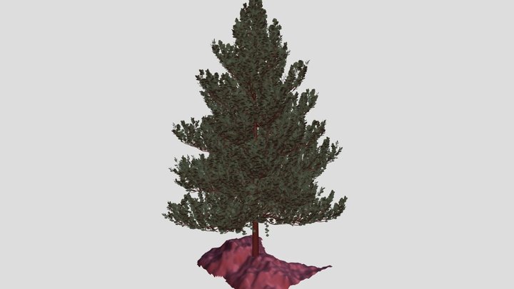 High poly realistic tree. No external textures 3D Model