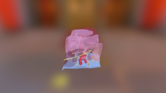 Modelo con transparencias 3D Model