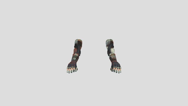 PlayerArms 3D Model