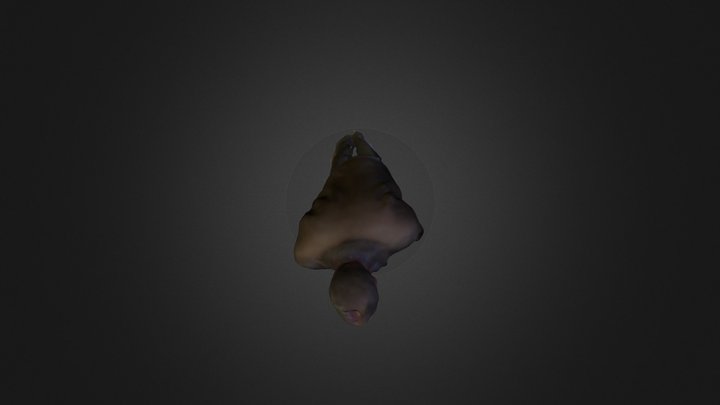 Archive 2 3D Model