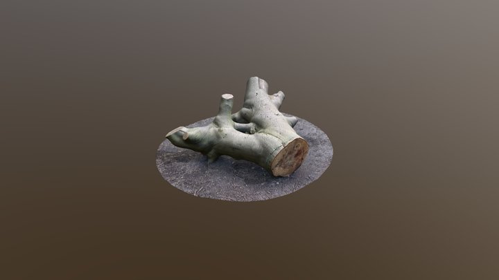 Sitting Tree 3D Model