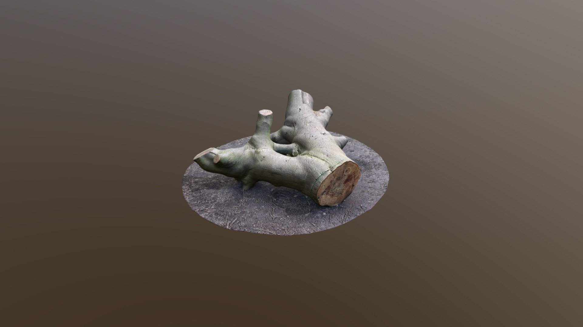 Sitting Tree