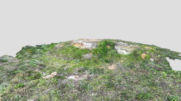 Rough terrain-poly 3D Model
