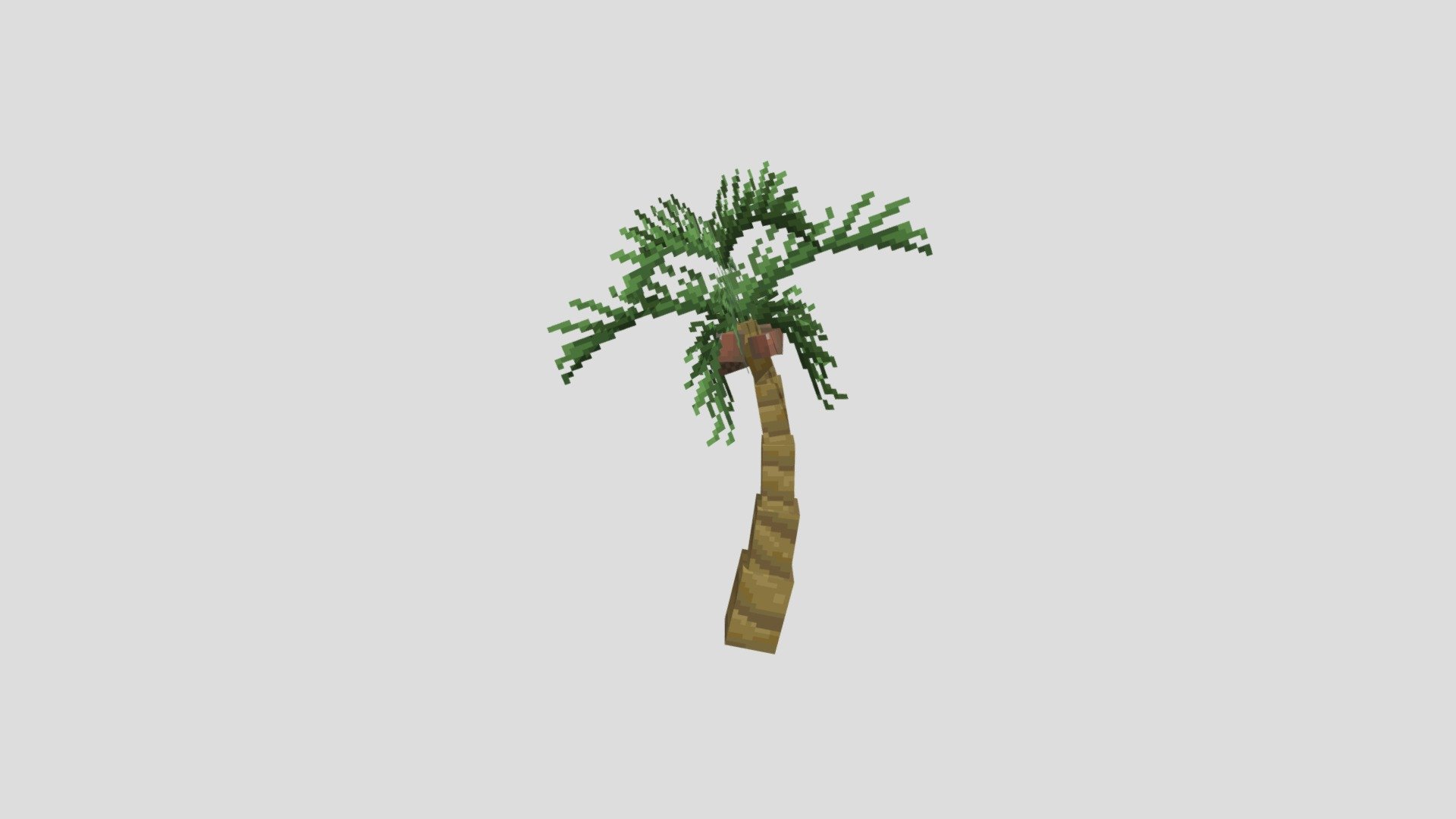 Palm tree - 3D model by jacksonkichu806 [146a2ad] - Sketchfab