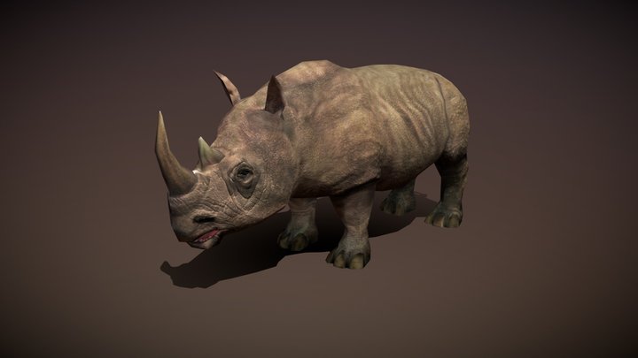Safari animals - Rhinoceros 3D Model