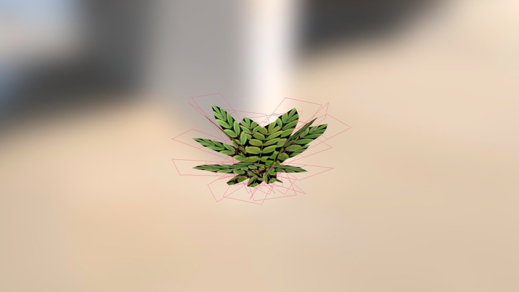 Fern Final