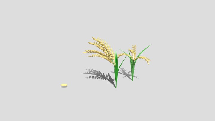 Rice Plant 3D Model