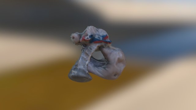 V-20 3D Model