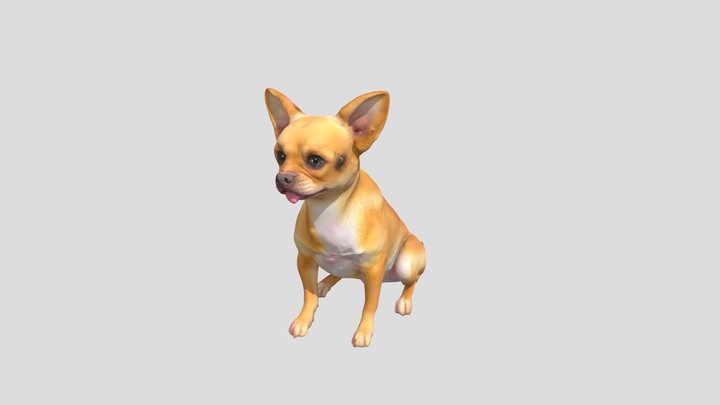 Charming_ Chihuahua_0628181528_texture_obj 3D Model
