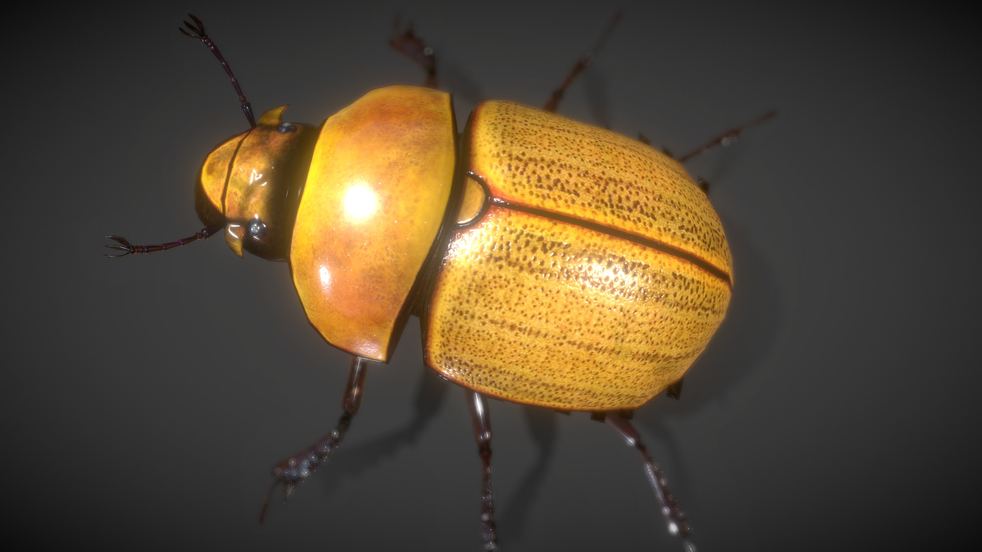 3D model Scarab Beetle Lowpolys 3D - This is a 3D model of the Scarab Beetle Lowpolys 3D. The 3D model is about a couple of bugs.
