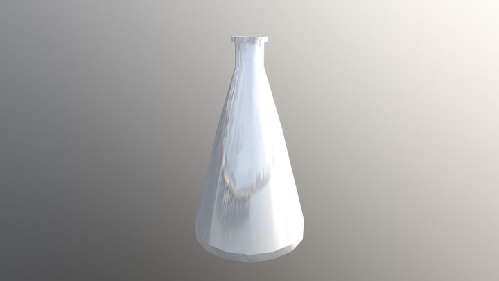 Lab Flask 3D Model