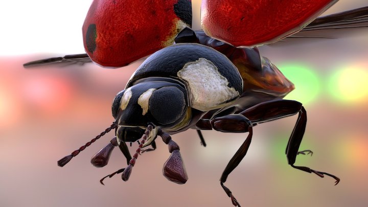 Ladybug 3D Model