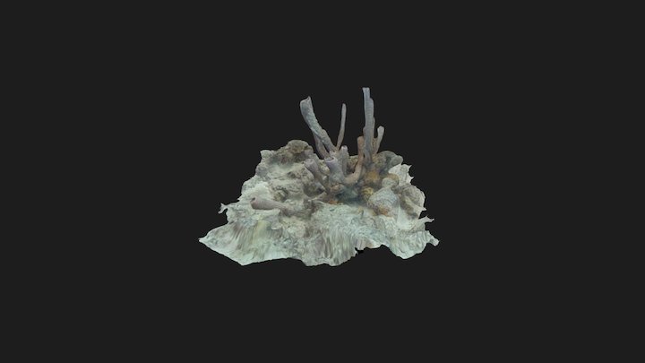 Underwater-Bonaire 3D Model