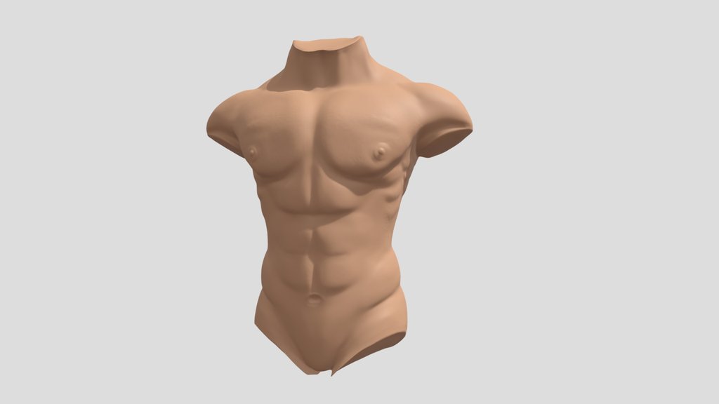 Male Torso - A 3D model collection by Sirafima - Sketchfab