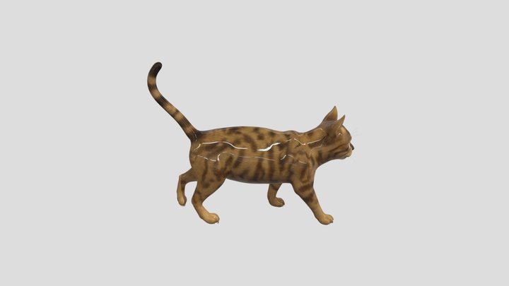 кот 3D Model