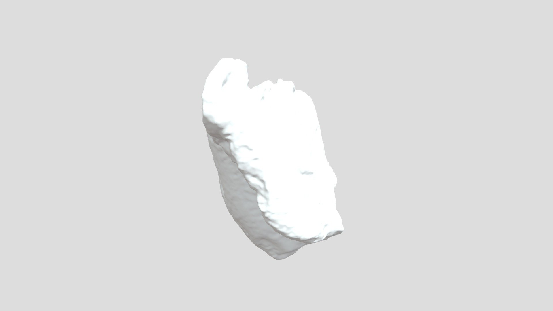 WSC9618 Scaphohippus sumani tooth