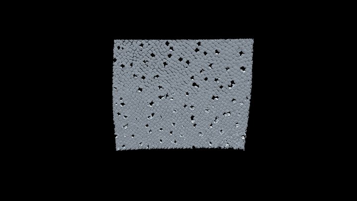 S. tiburo nose denticle patch 3D Model
