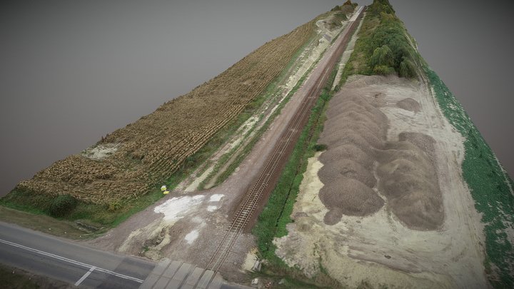 Bycina-inspekcja 3D Model