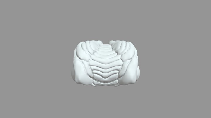 Snake Head