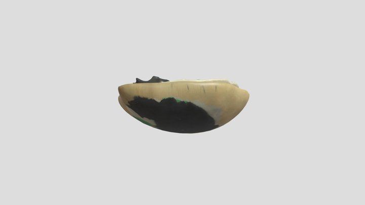 butterfly – Kostenloses 3D-Modell STL