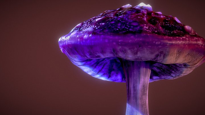 Mushroom Stylized Assets — Violet Webcap 3D Model