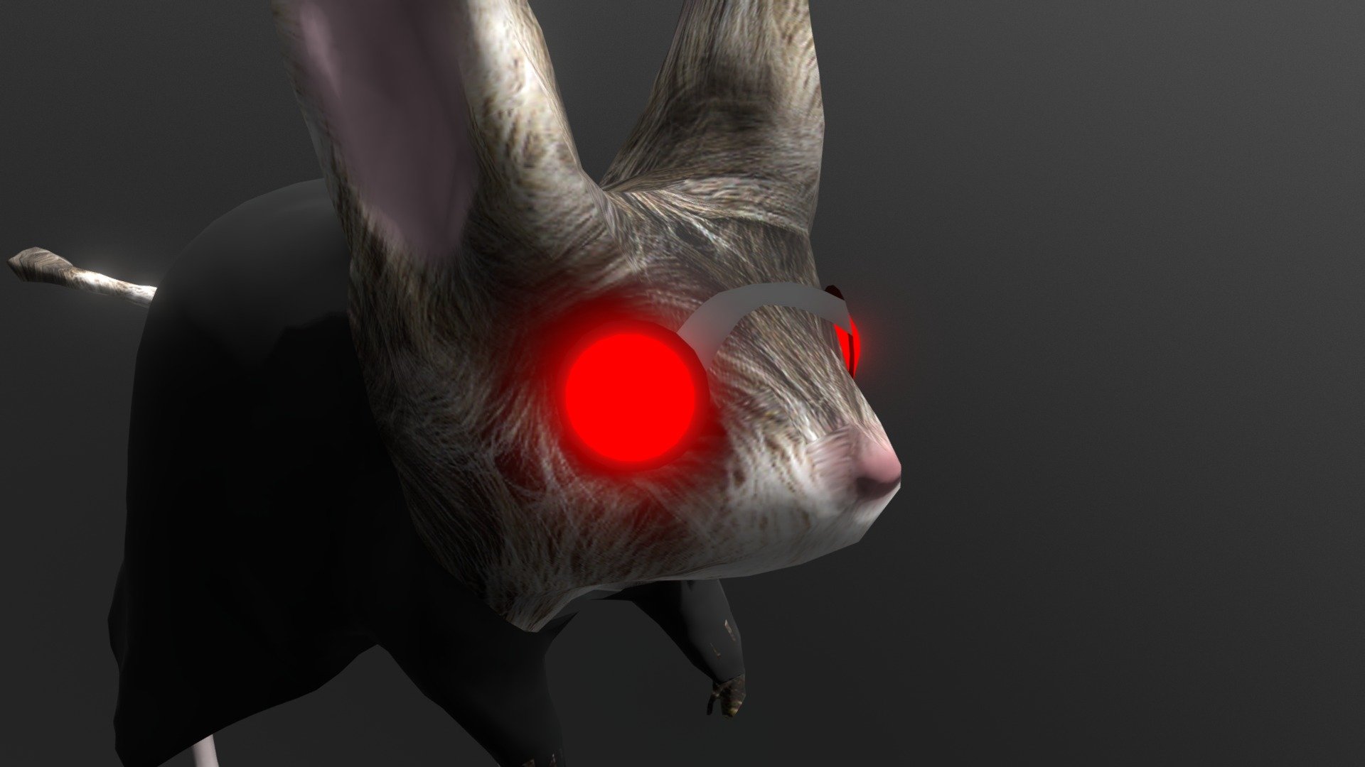 Rato Canguru