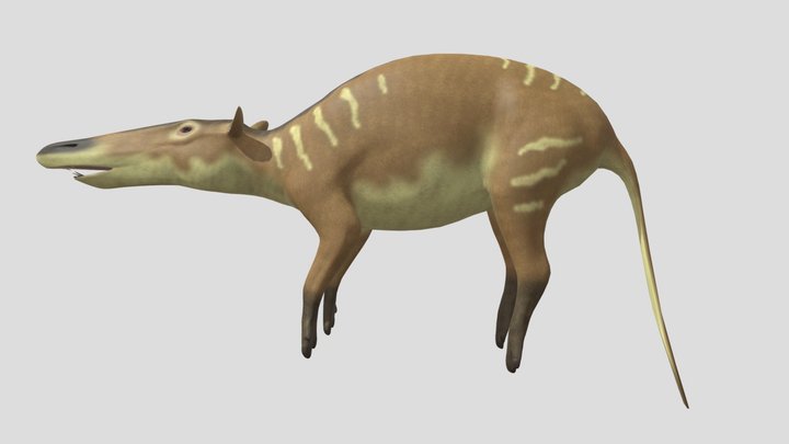 Dinoraul's Eurohippus But It's Pakicetus – Kostenloses 3D-Modell STL