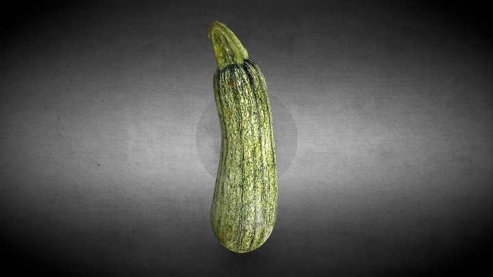 Zucchini - Photocatch – Free 3D Model STL