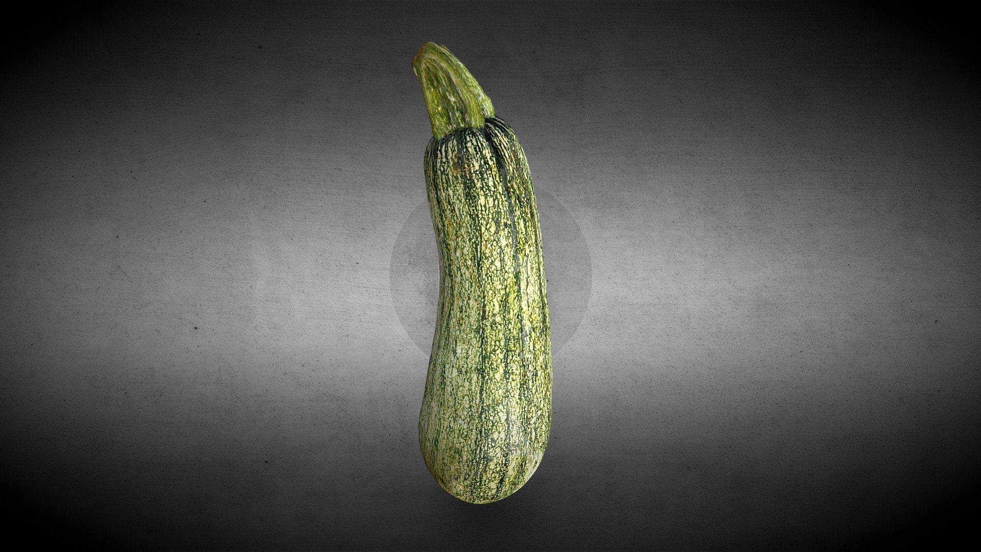 Zucchini - Photocatch