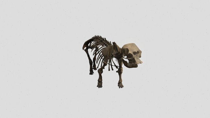 Dwarf elefant - MUST 3D Model