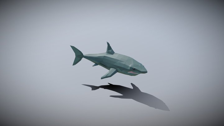Low Poly Shark 3D Model