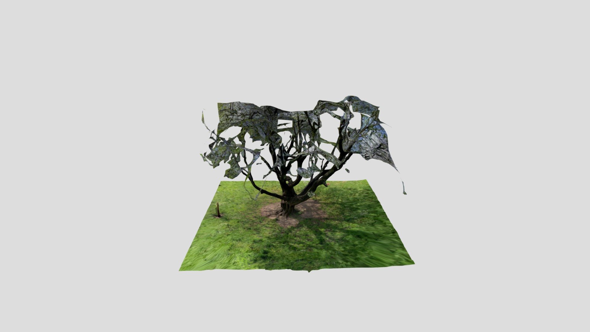Polycam capture