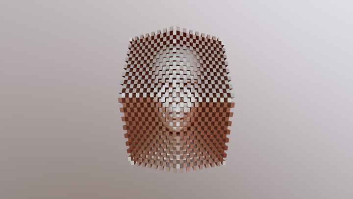 Checkerboard Mask + Woman's Face (001) 3D Model