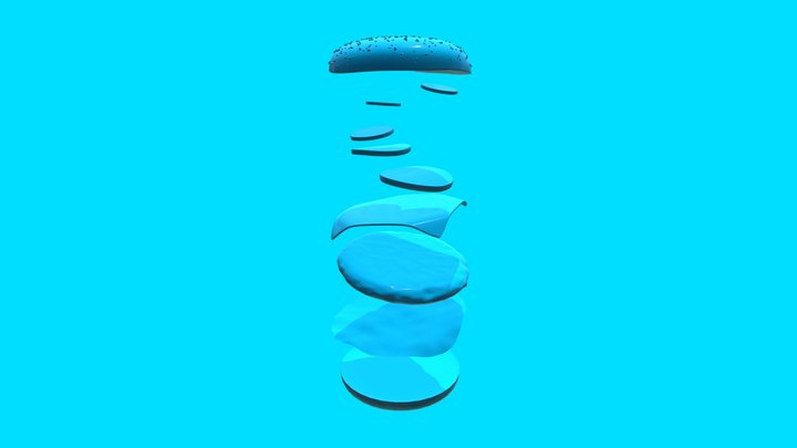 SeaBurger 3D Model