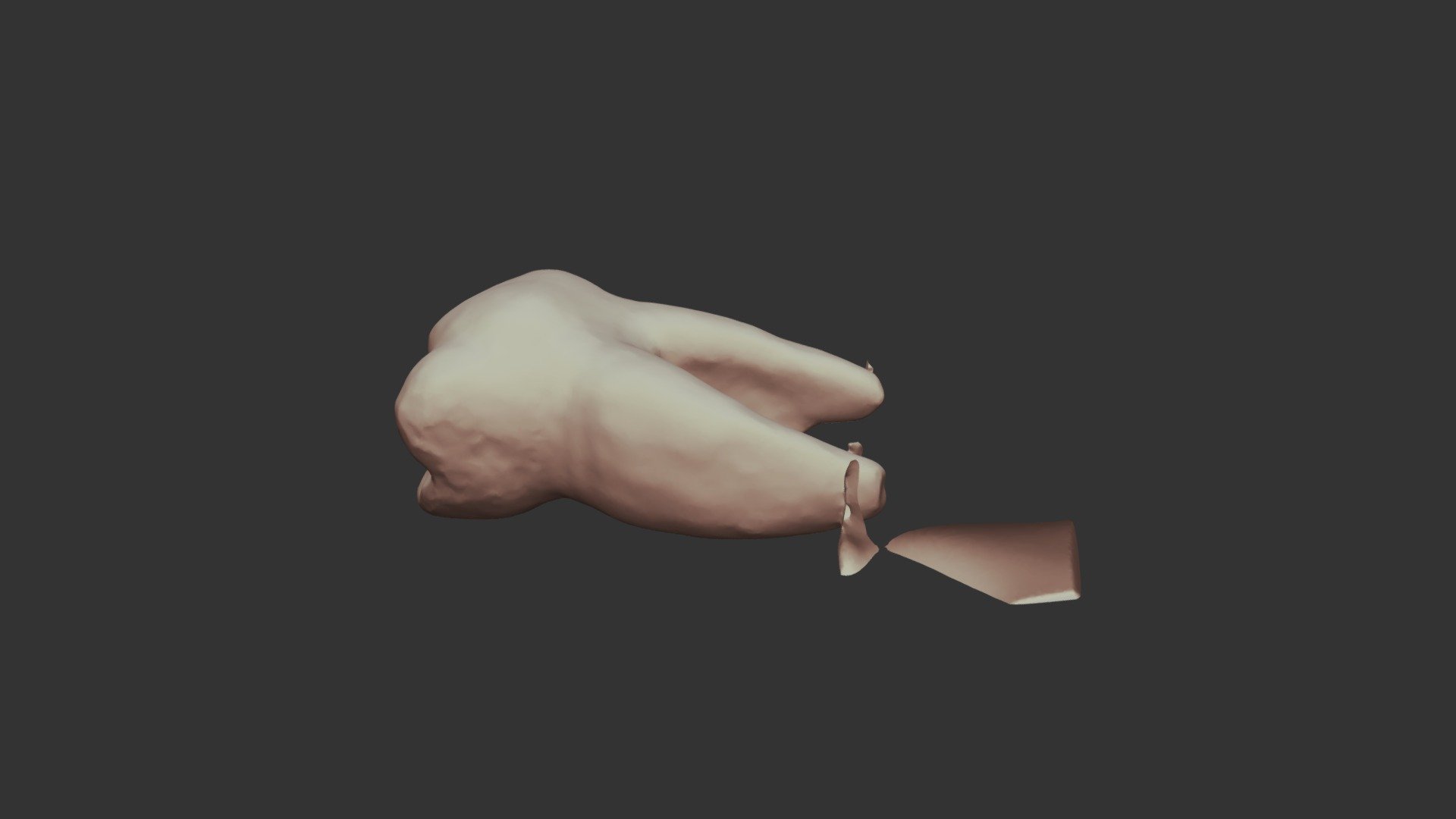t_1-2_LowerJaw_LowerJaw_LowerJaw