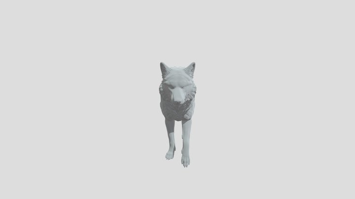 lupo wolf 3D Model