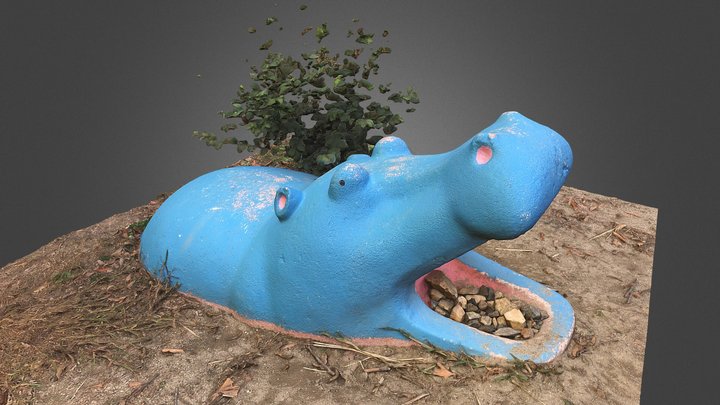 Playground, Hippopotamus