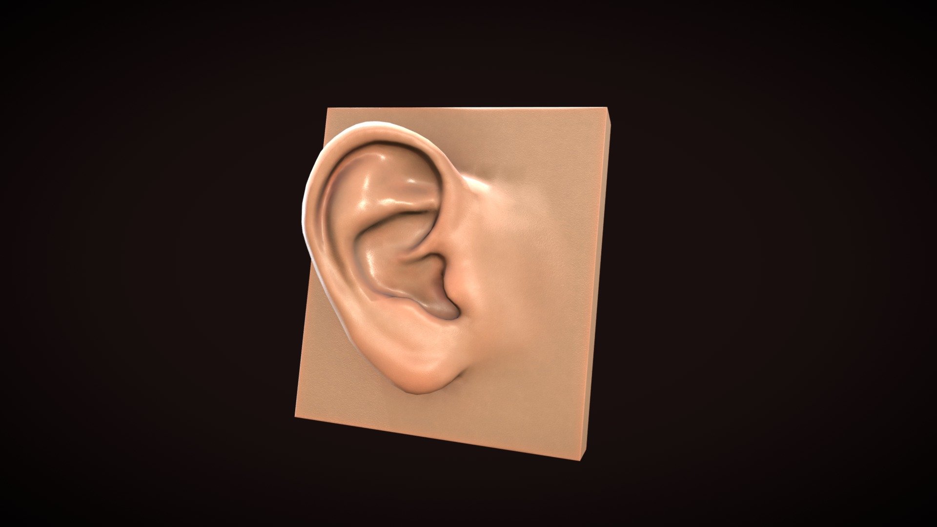 Ear_VytautasRakauskas - 3D model by Vytautas (@vytaxas) [14a99f0 ...