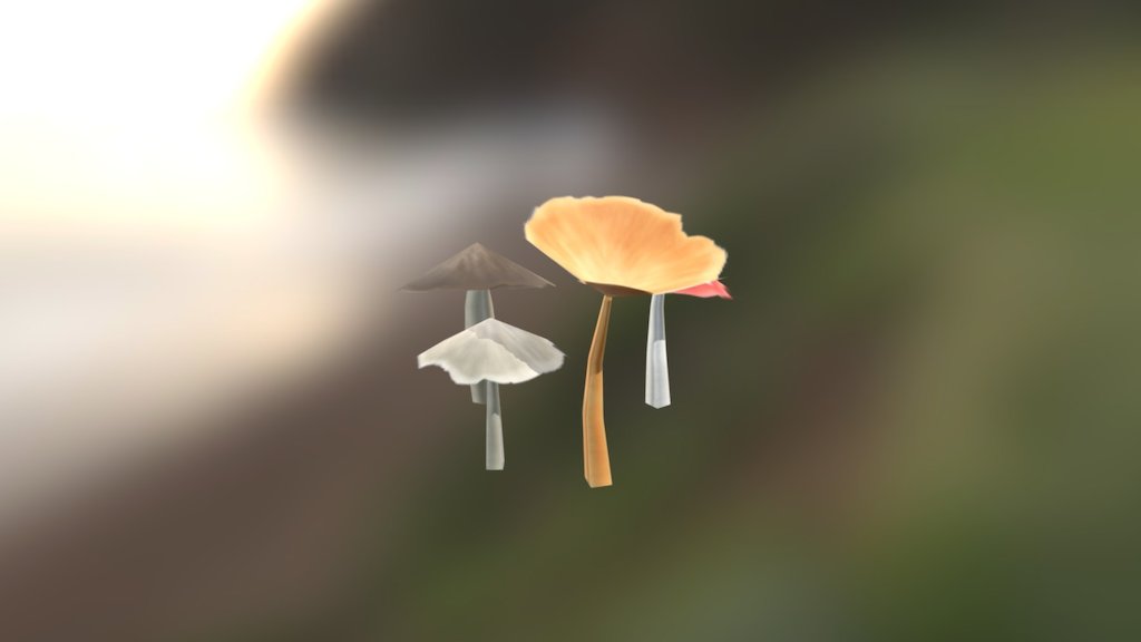 Fungus pack