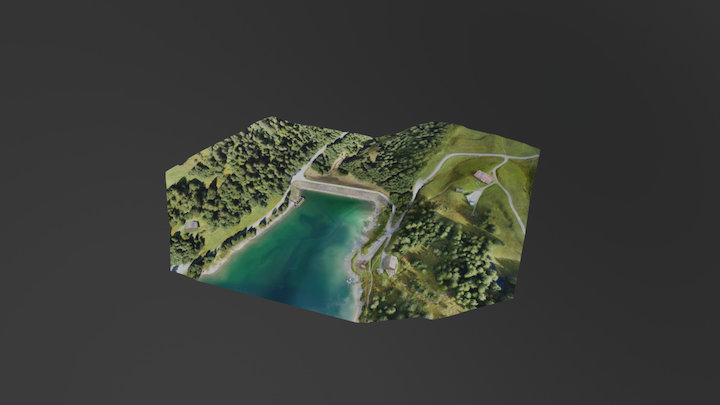 BBHN SA - Digue d'Arnon 3D Model