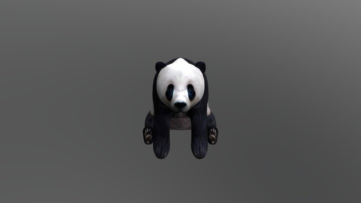 Big Panda 3D Model