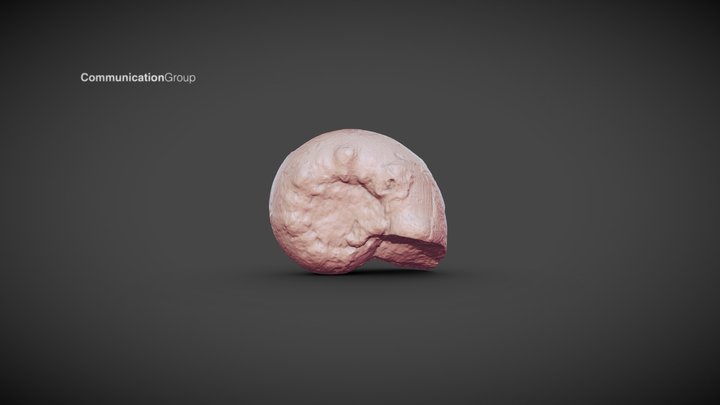 FOSIL1_LO VALDES 3D Model