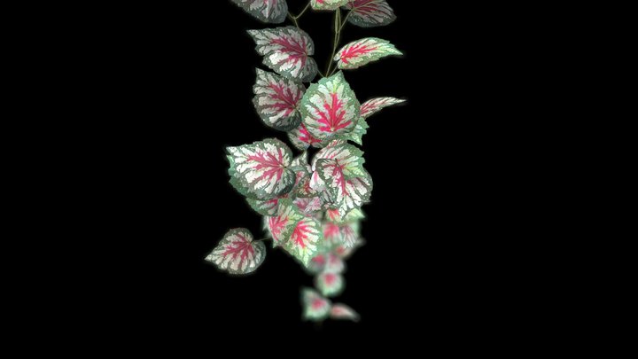 Artificial garland Begonia 3D Model