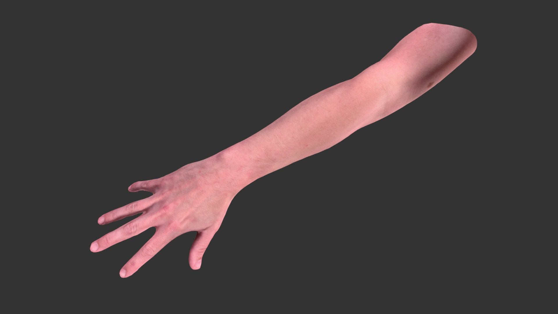 ARM 3D MODEL SCAN