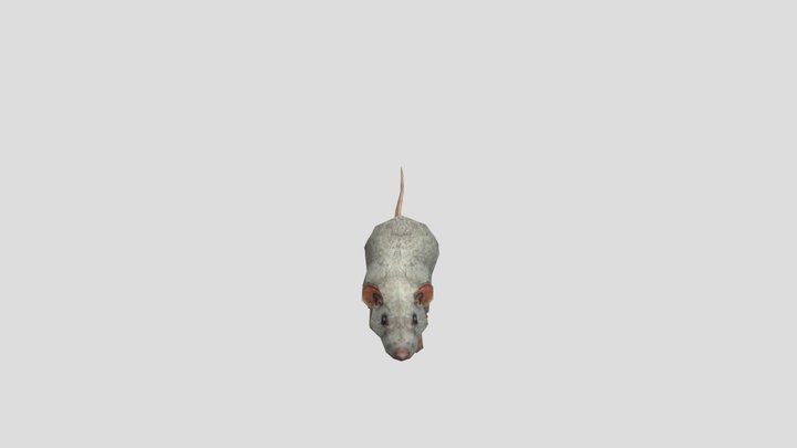 GRANNY animation rat
