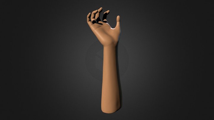 Textured Arm and Hand Drawing Reference Pose 04 3D Model
